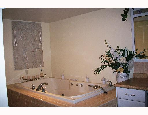 7815 Noblestown Road McDonald, PA 15057 - Photo 14 of 15 Master Bath/Spa. JET TUB BEAUTIFUL CEREMIC DECOR