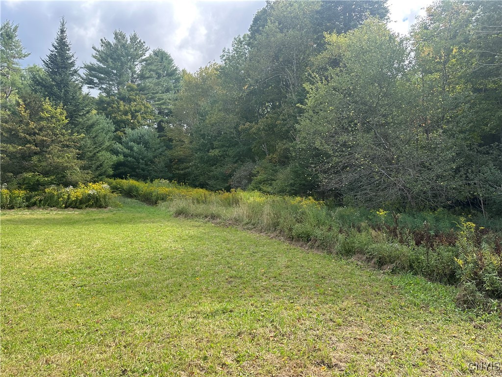 11891 Fairchild Road Remsen, NY 13438 - Photo 17 of 26