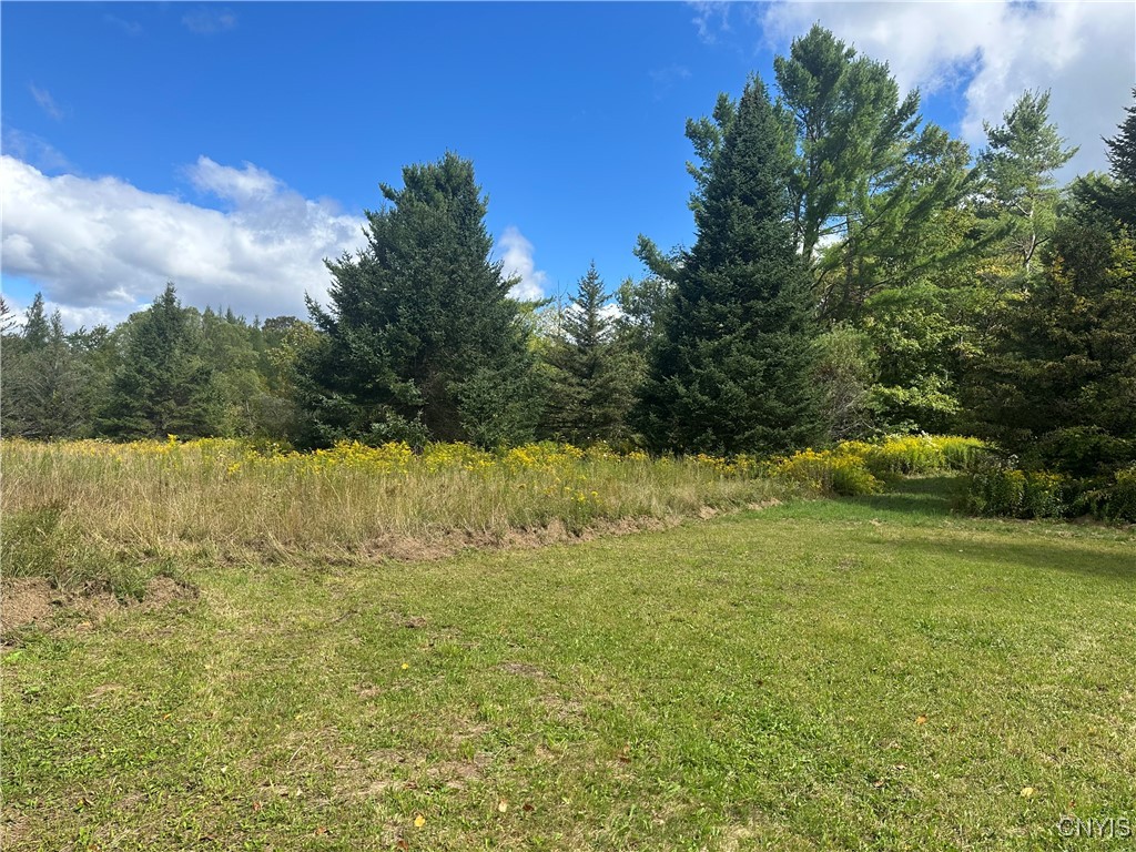 11891 Fairchild Road Remsen, NY 13438 - Photo 18 of 26