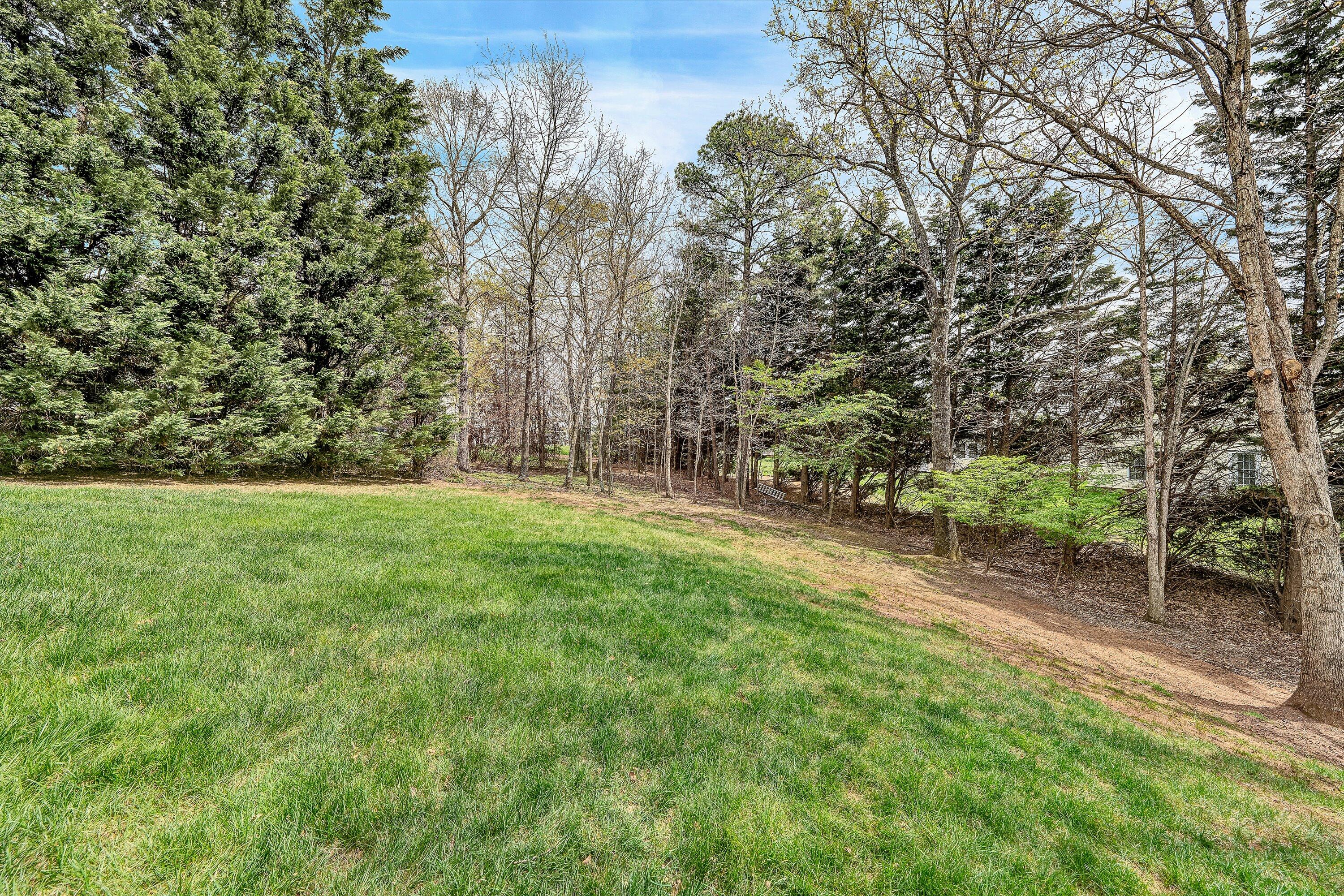 1935 Springmill Road Salem, VA 24153 - Photo 47 of 48 47-DSC00409