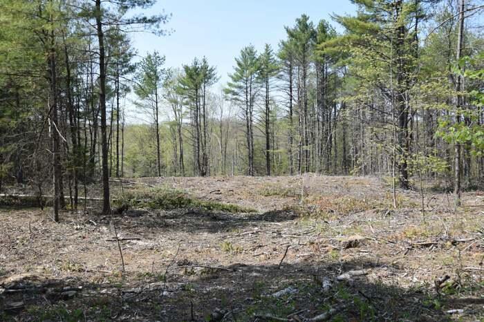 183 South Pond Road Winslow, ME 04901 - Photo 1 of 4 183SPond