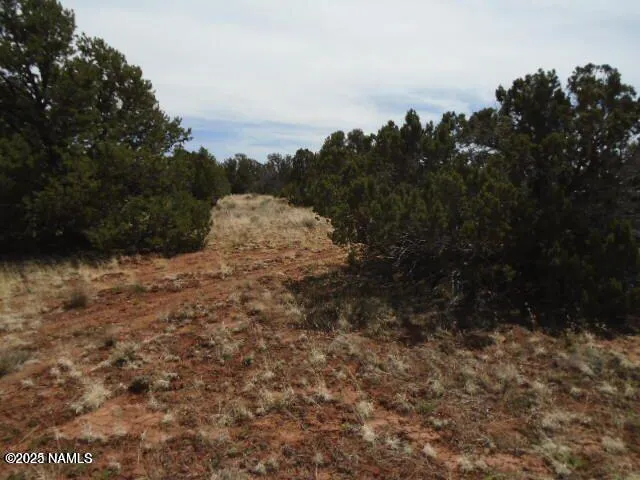 $49,900 | 4089 East Oakdale Road, Williams, AZ 86046