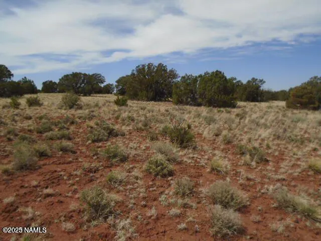 $49,900 | 4089 East Oakdale Road, Williams, AZ 86046