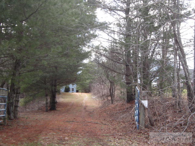 1996 Island Ford Road Crumpler, NC 28617 - Photo 4 of 10 Gallery Image 4