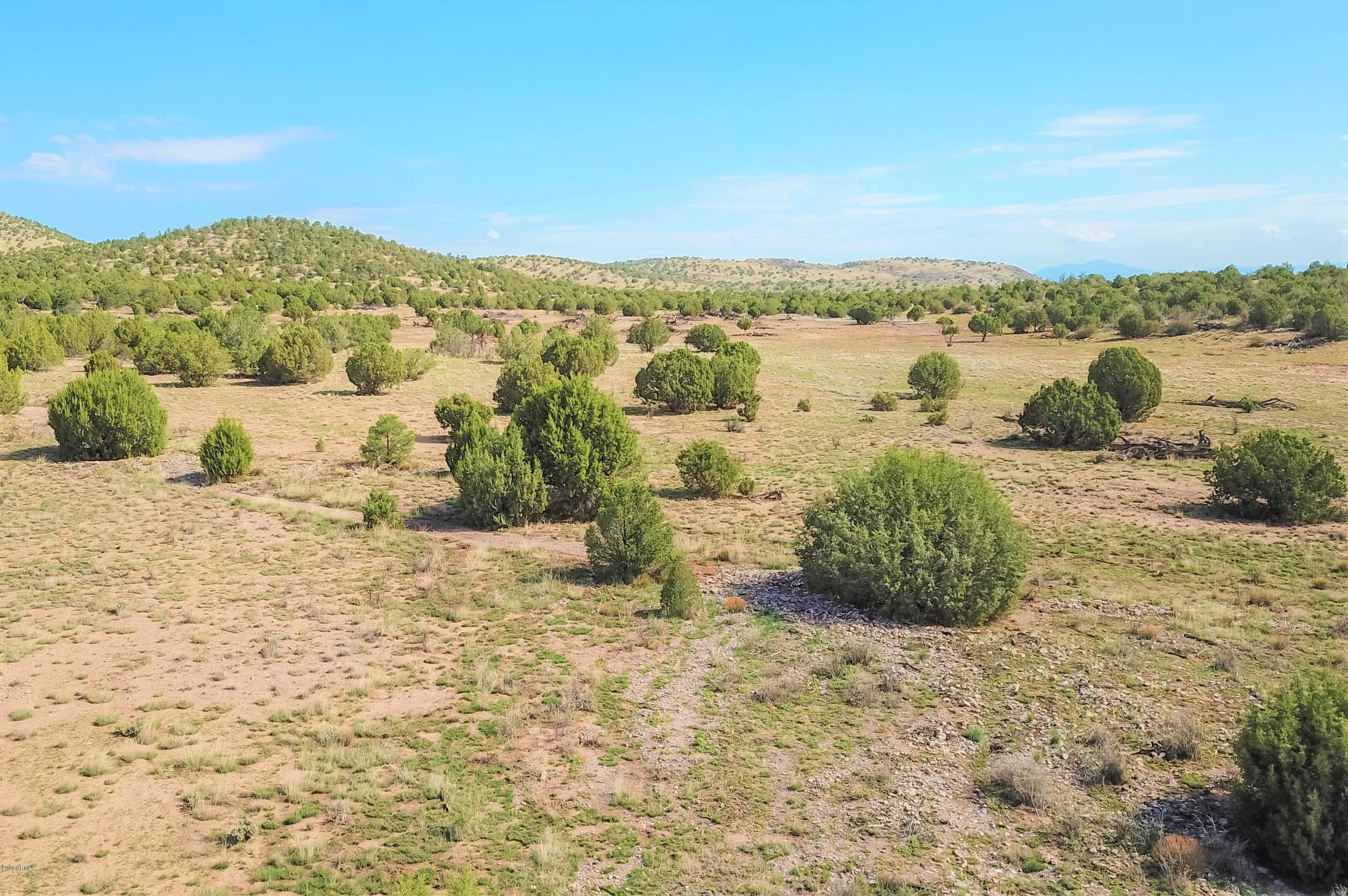 4501 Dillon Wash Road, Unit 114 Prescott, AZ 86305 - Photo 8 of 17 Homesite - 4501 Dillon Wash