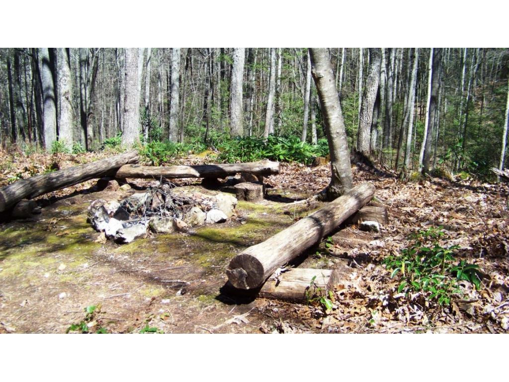 6070 Sink Valley Road Butler, TN 37640 - Photo 23 of 34 FIRE PIT