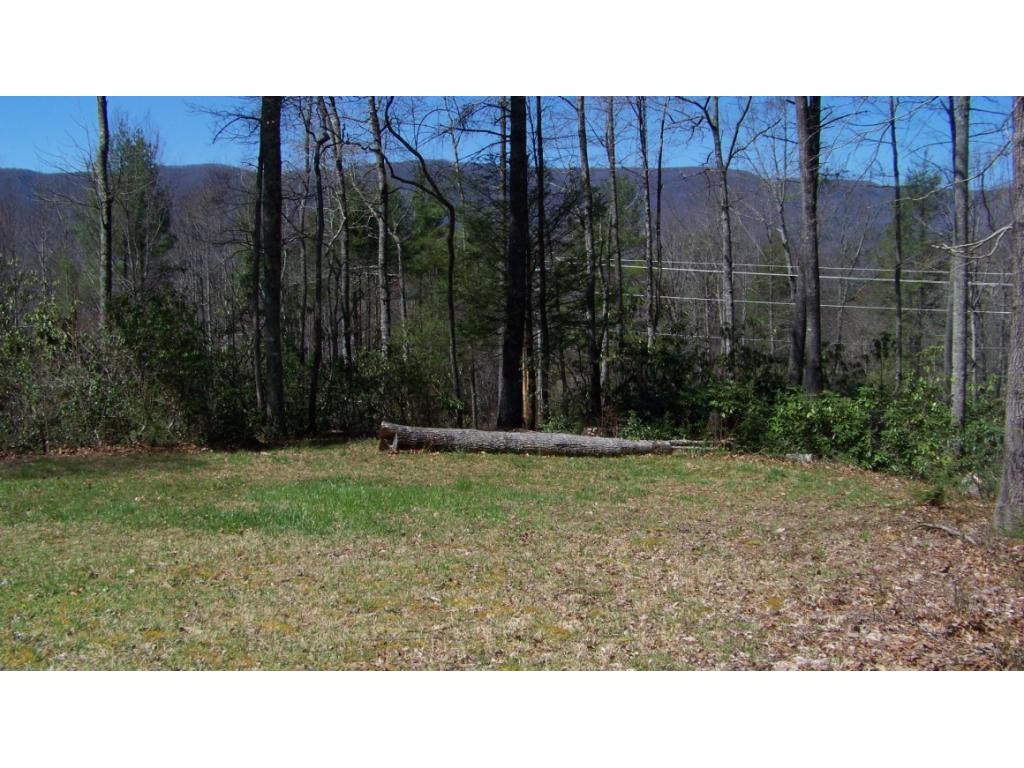 6070 Sink Valley Road Butler, TN 37640 - Photo 24 of 34 FRONT YARD MTN VIEWS