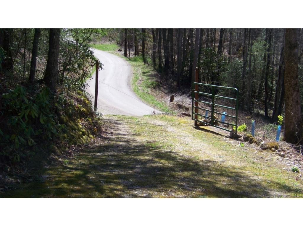 6070 Sink Valley Road Butler, TN 37640 - Photo 25 of 34 ON PAVED ROAD