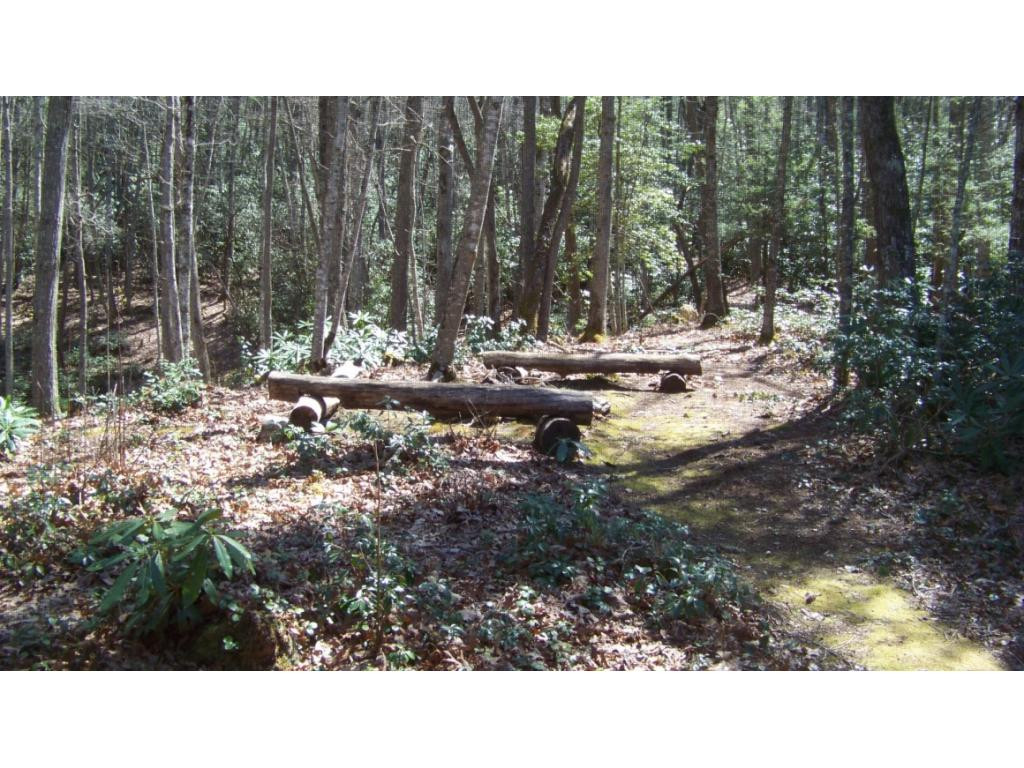 6070 Sink Valley Road Butler, TN 37640 - Photo 28 of 34 HIKING TRAILS PLENTY WILDLIFE