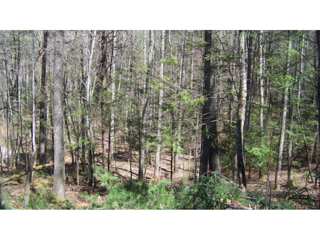6070 Sink Valley Road Butler, TN 37640 - Photo 29 of 34 SECLUDED 22 ACRES