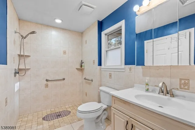 a bathroom with a sink toilet a mirror and shower