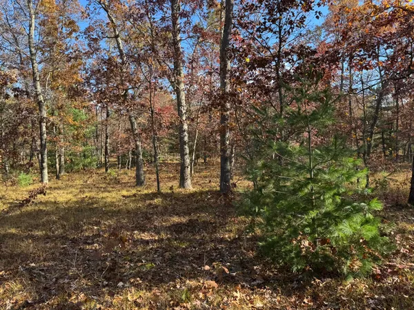 $46,500 | 9 County Line Road, Manistee, MI 49660