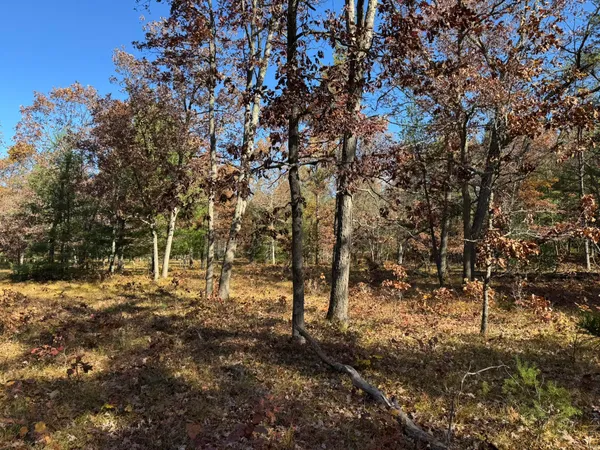 $46,500 | 9 County Line Road, Manistee, MI 49660
