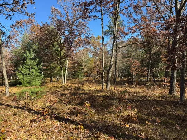 $46,500 | 9 County Line Road, Manistee, MI 49660