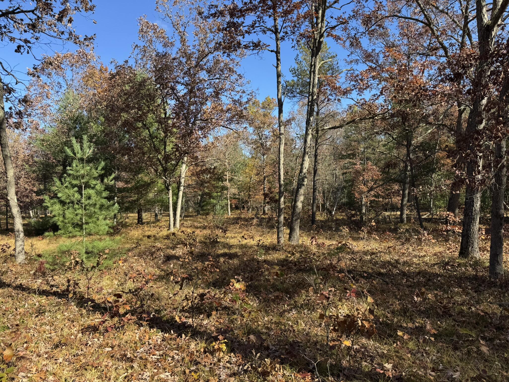 9 County Line Road Manistee, MI 49660 - Photo 4 of 5 IMG_1406