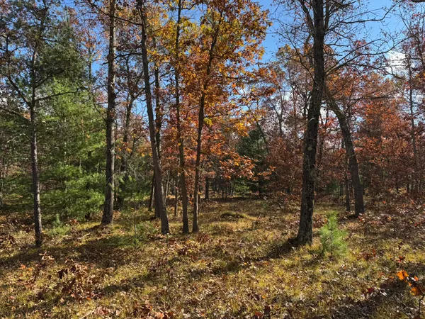 $46,500 | 9 County Line Road, Manistee, MI 49660