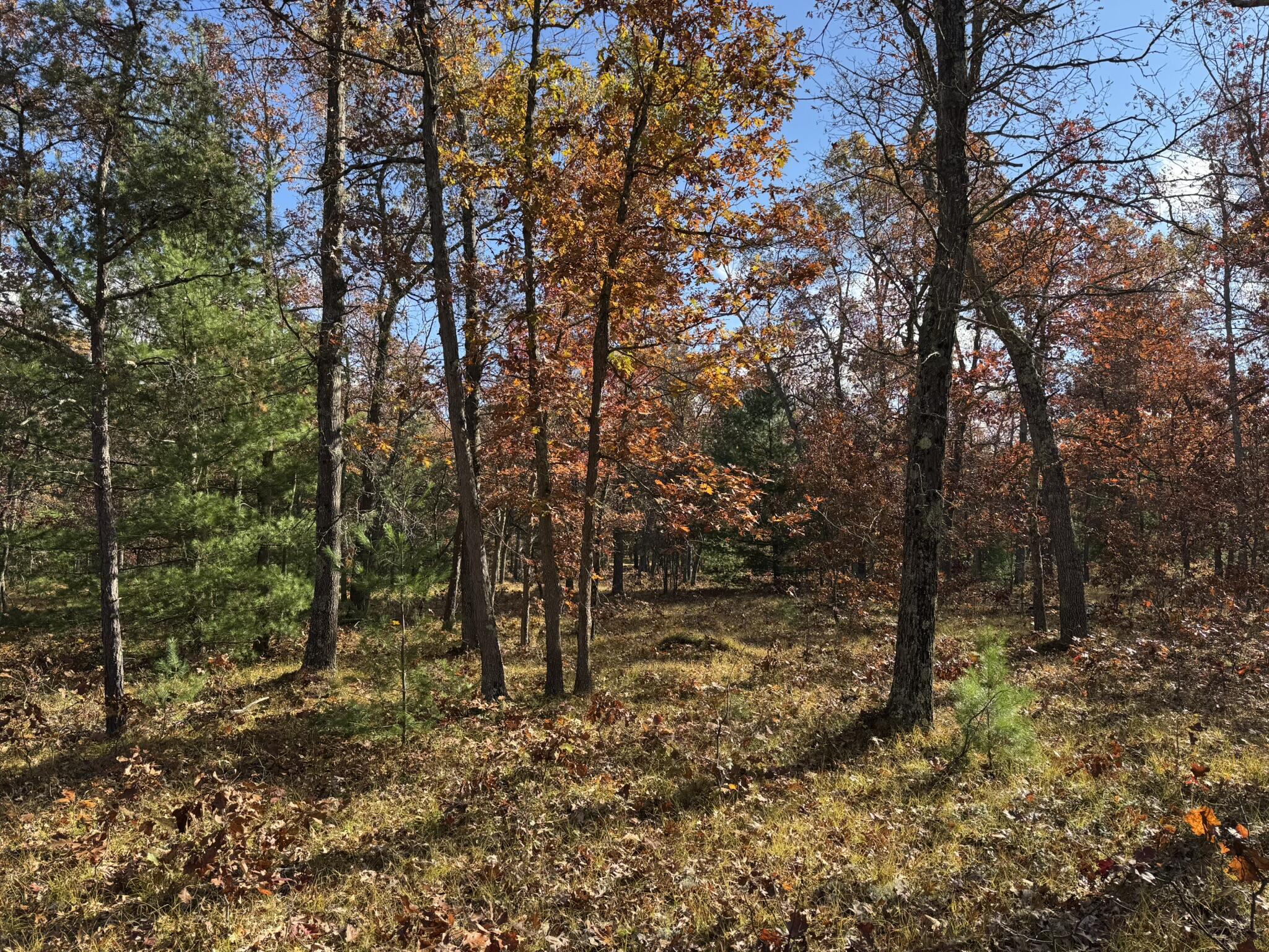 9 County Line Road Manistee, MI 49660 - Photo 5 of 5 IMG_1408