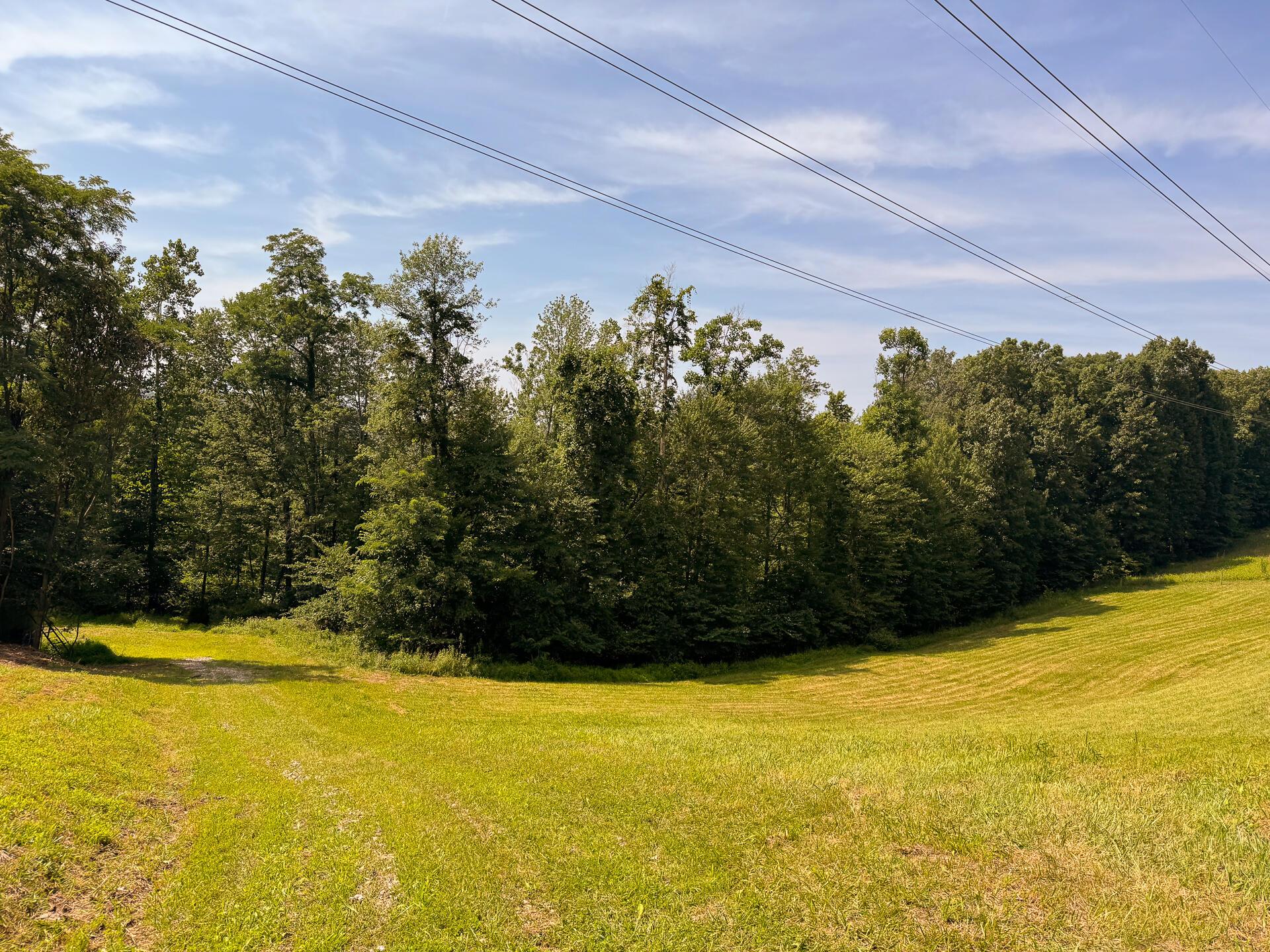 16487 Flint Ridge Road, Unit LOT L WOODS FLINT RIDGE) Newark, OH 43056 - Photo 29 of 39 CT-29