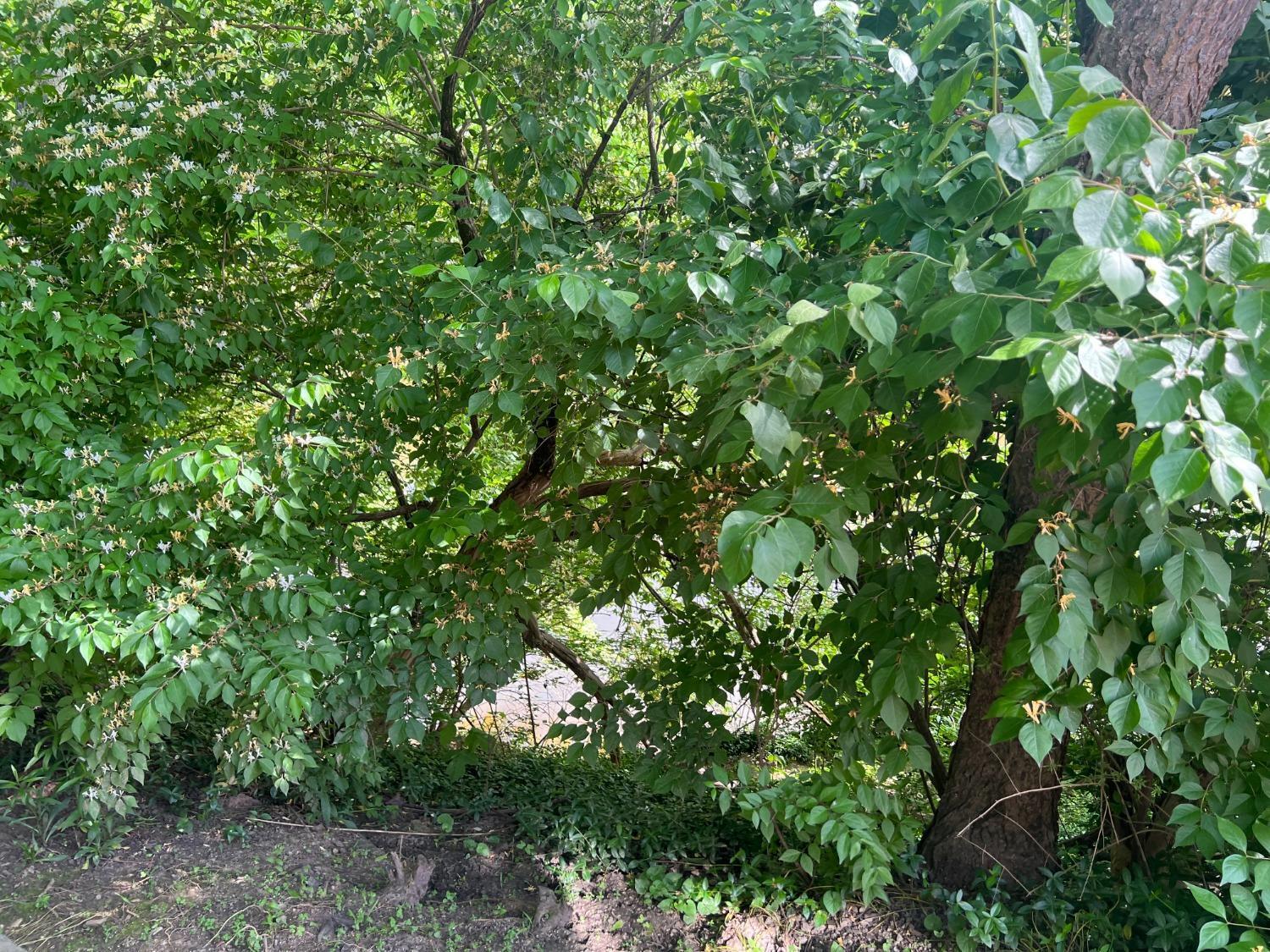 1180 Round Bottom Road Milford, OH 45150 - Photo 12 of 15 Gallery Image 12