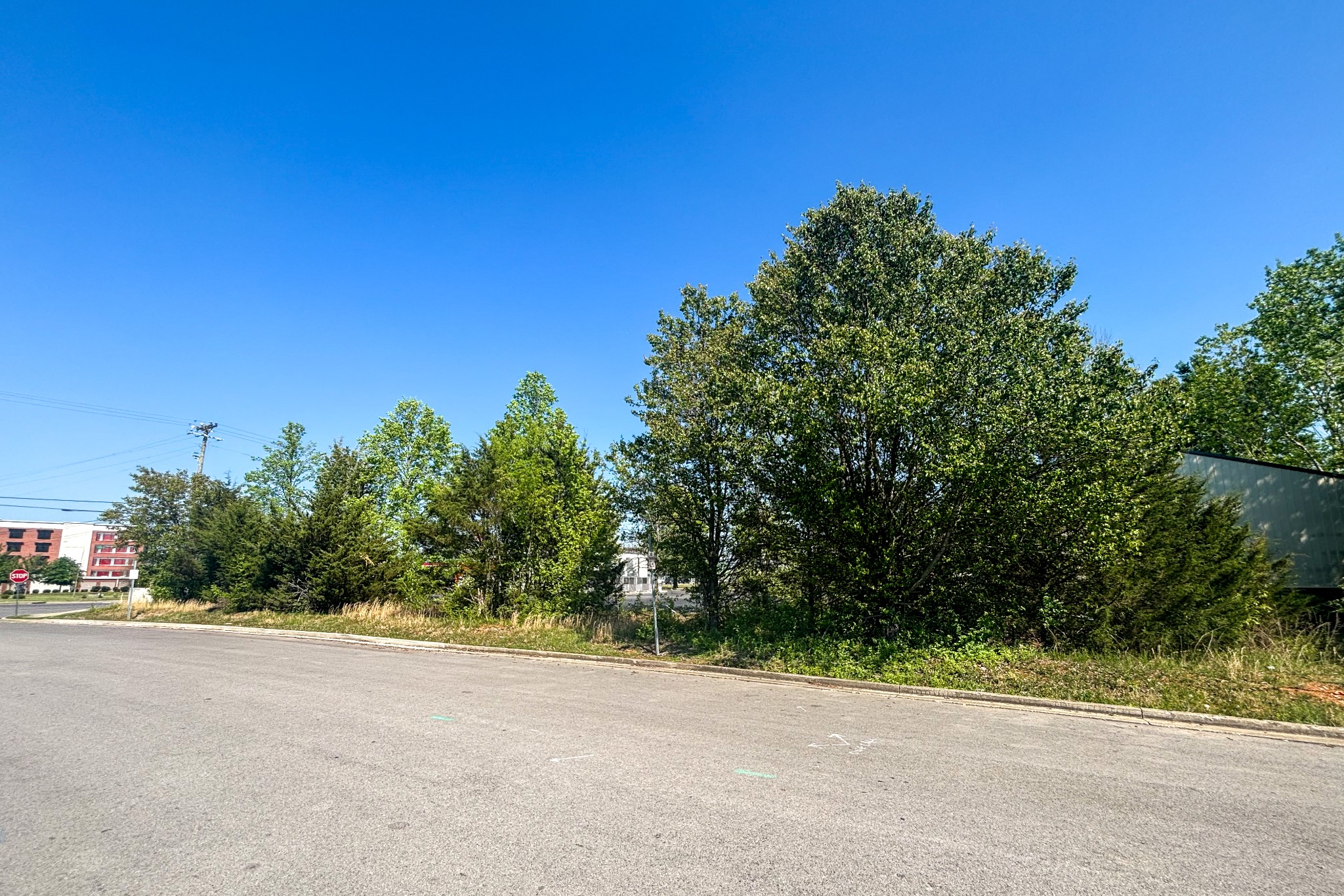 1623 Beasie Road Murfreesboro, TN 37128 - Photo 7 of 9 a view of a road from a window