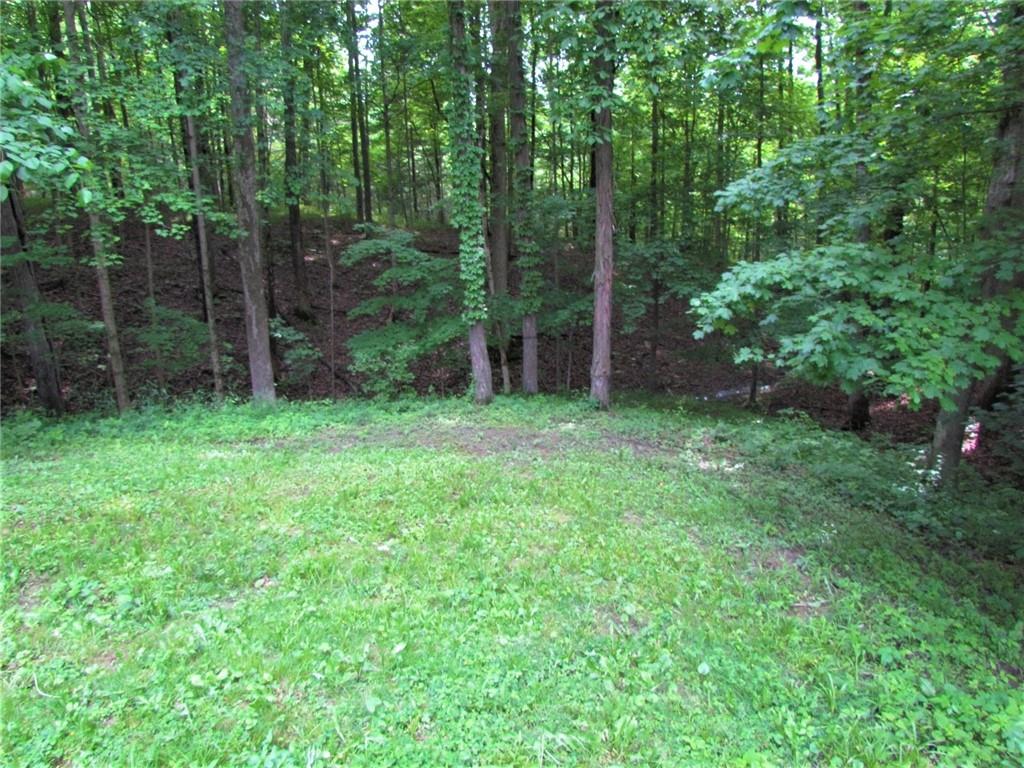 305 Mill Spring Court Fillmore, IN 46128 - Photo 22 of 23 Gallery Image 22