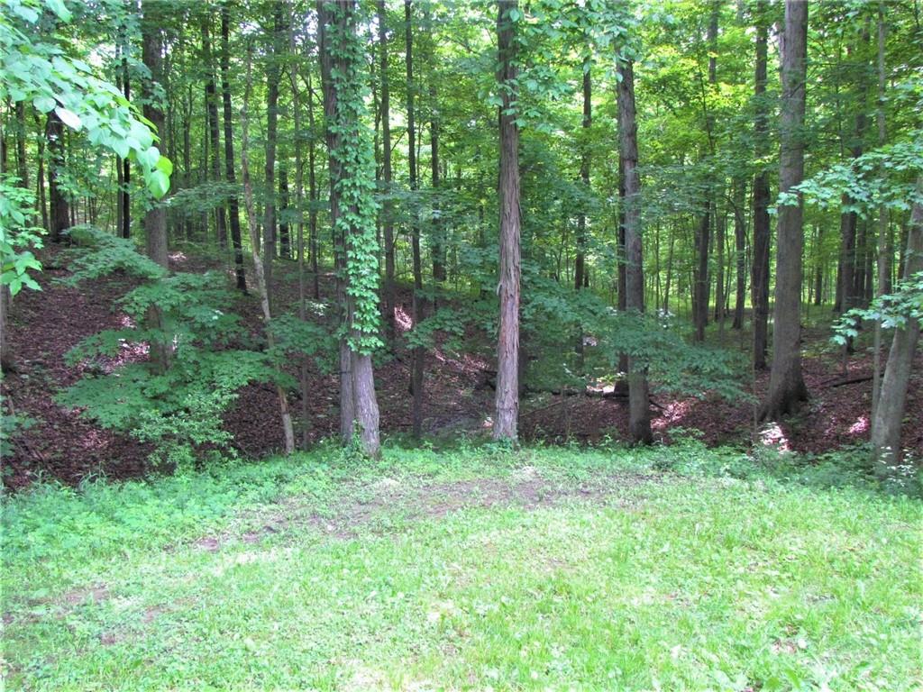 305 Mill Spring Court Fillmore, IN 46128 - Photo 23 of 23 Gallery Image 23