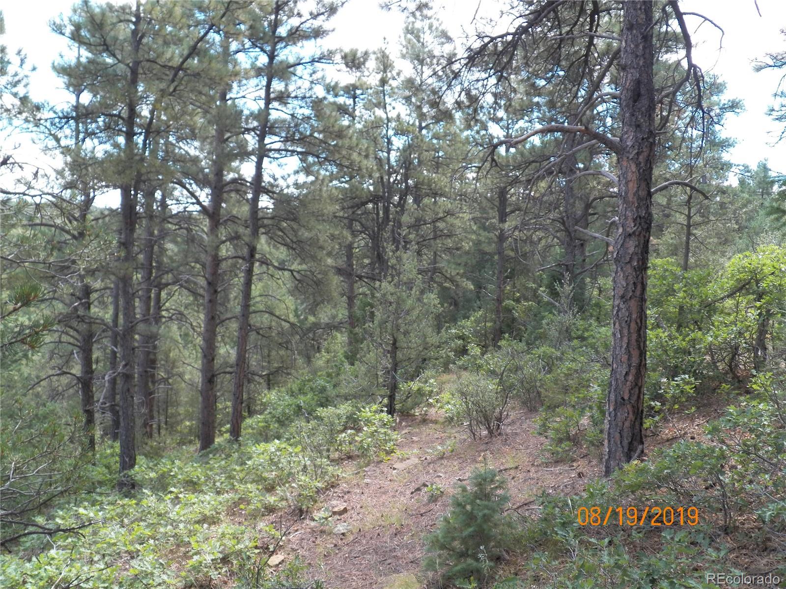 47 Peakview Road Trinidad, CO 81082 - Photo 11 of 18 a view of a forest with trees in the background