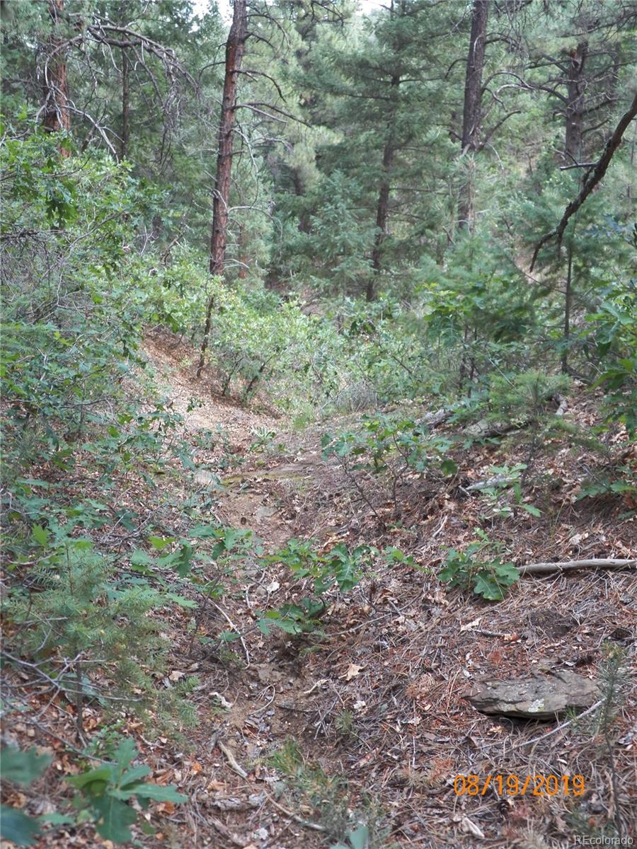 47 Peakview Road Trinidad, CO 81082 - Photo 14 of 18 a view of a yard