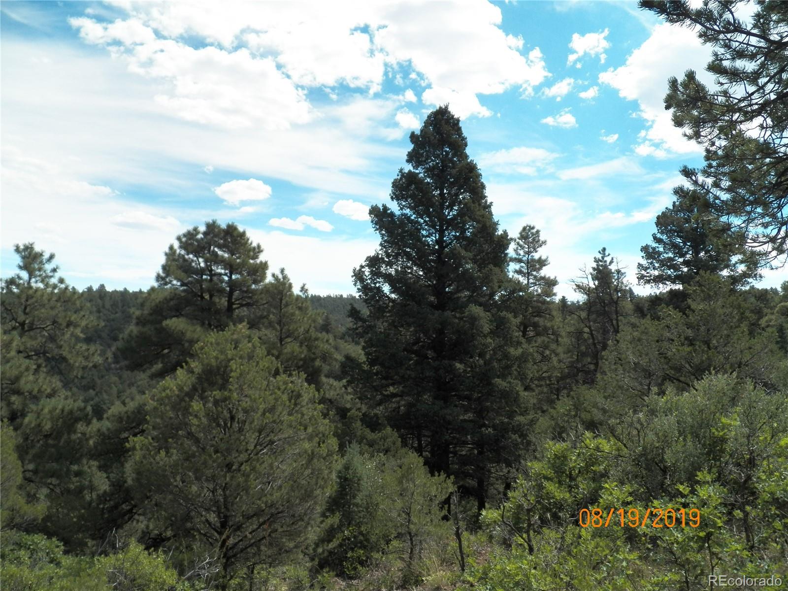 47 Peakview Road Trinidad, CO 81082 - Photo 10 of 18 a view of trees in a field