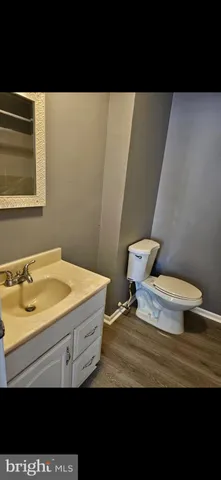 a bathroom with a sink a toilet and mirror