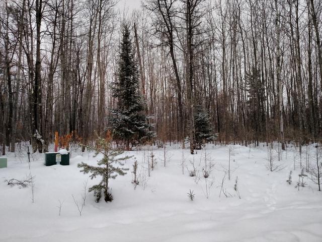 Lot 14 Pfeifer Road Tomahawk, WI 54487 - Photo 2 of 9 Gallery Image 2