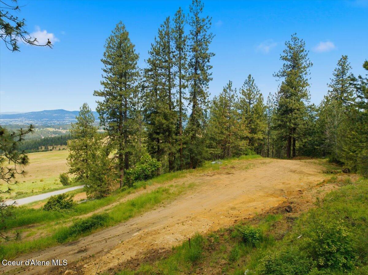 2276 Big Rock Road Post Falls, ID 83854 - Photo 10 of 28 06-2276 S Big Rock Rd_RedHogMedia