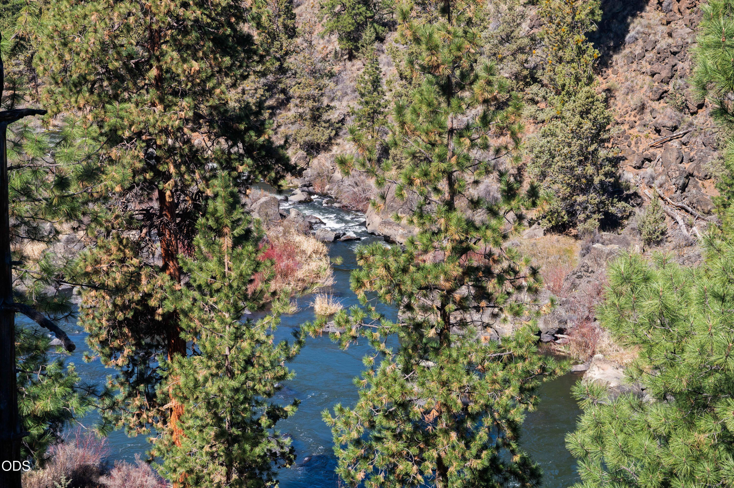 4211 Northwest Lower Village Road Bend, OR 97703 - Photo 38 of 58