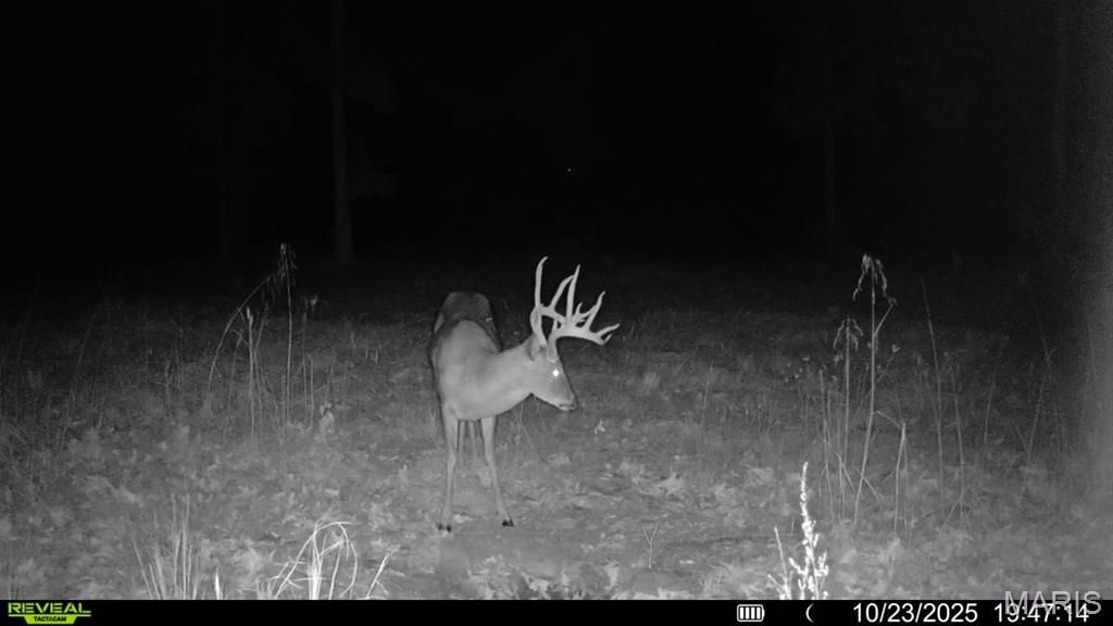 Lot 1 Short Road Fletcher, MO 63030 - Photo 18 of 20