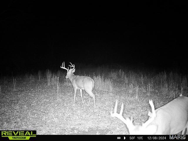 Lot 1 Short Road Fletcher, MO 63030 - Photo 20 of 20