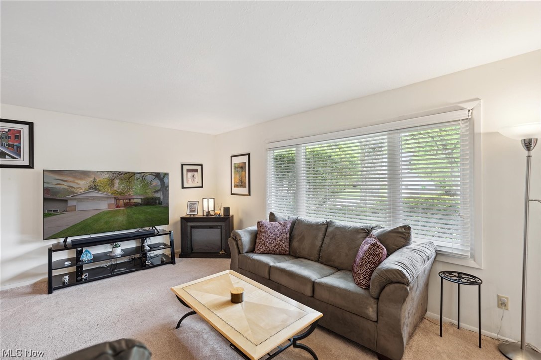 4629 Telhurst Road Cleveland, OH 44121 - Photo 5 of 35 Living Room