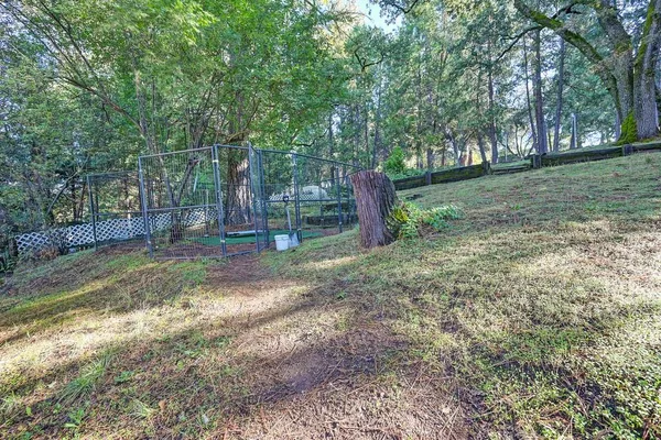 a view of a backyard with trees