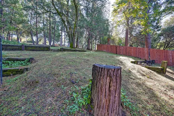 a view of a backyard with trees and wooden fence