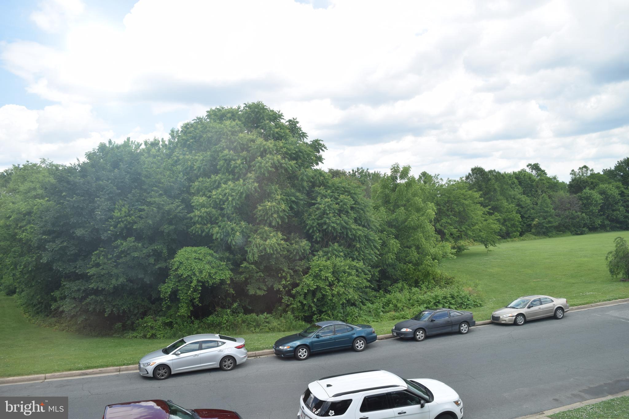 8149 Park Haven Road Baltimore, MD 21222 - Photo 22 of 46 View From Master Bedroom