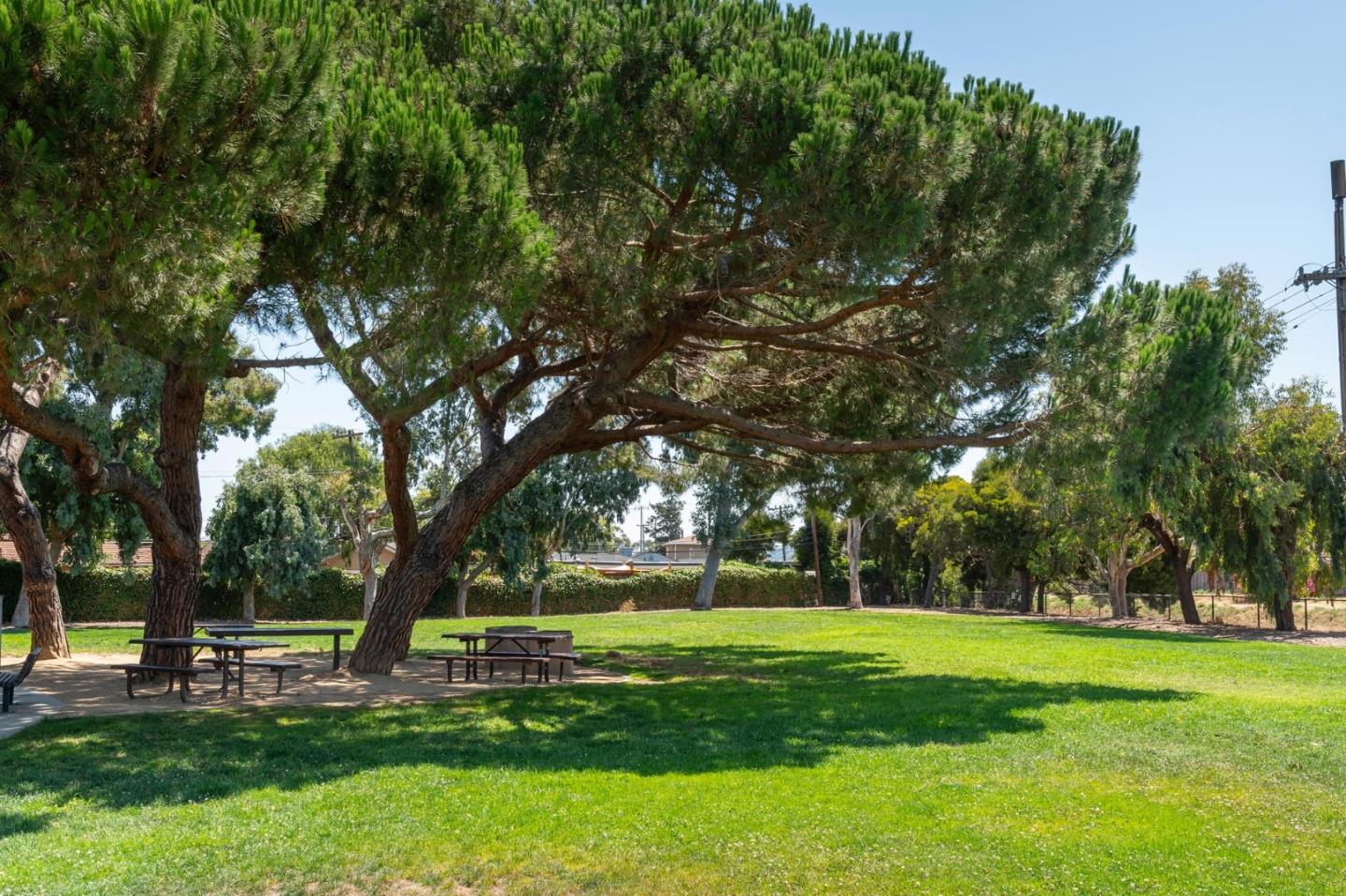 3989 Oneill Drive San Mateo, CA 94403 - Photo 38 of 47 a garden view with a sitting space