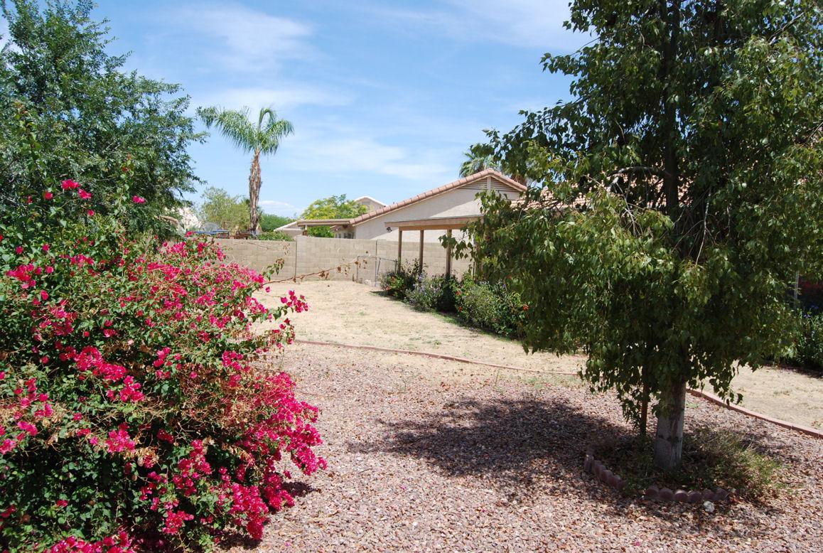 1760 East Fremont Road Phoenix, AZ 85042 - Photo 11 of 11 Large Backyard