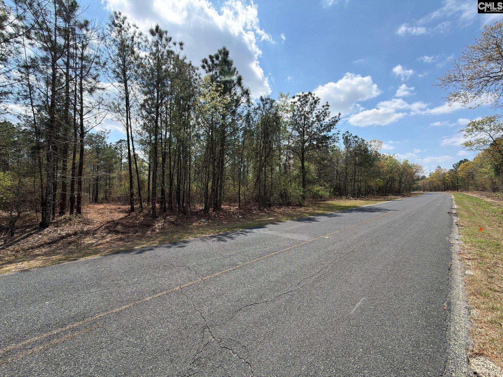 3 Mt Calvary Rd Ridge Spring Ridge Spring, SC 29129 - Photo 1 of 27