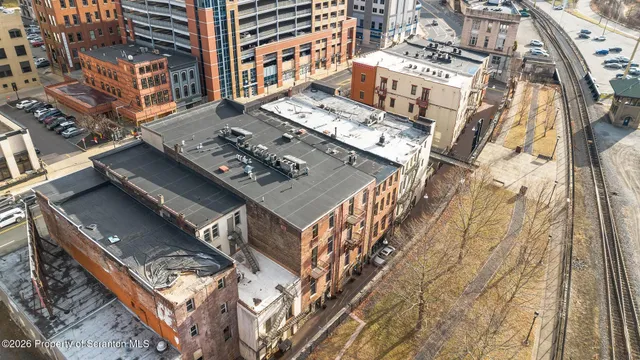 a view of a bunch of flower plants