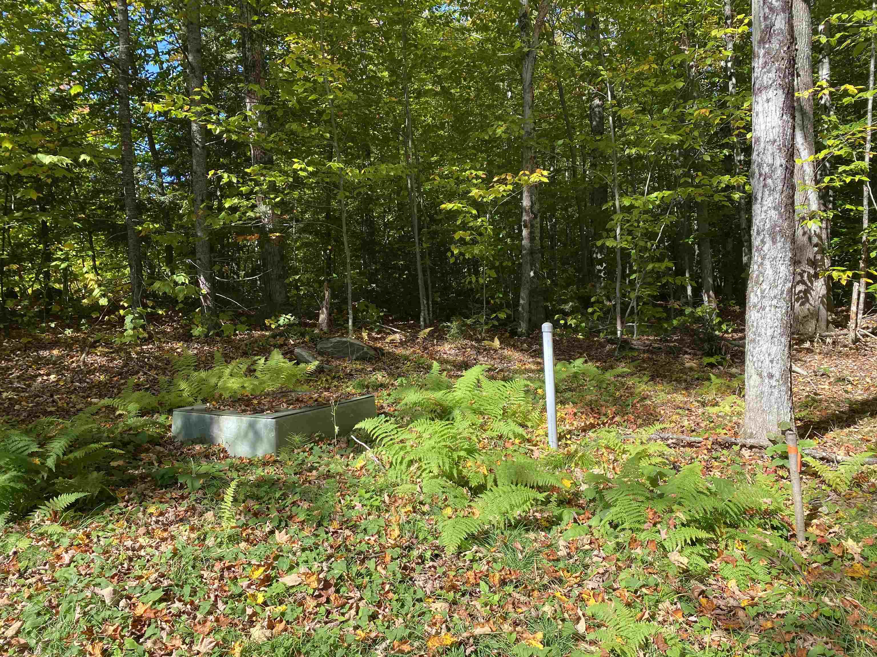 Lot 5 Rod And Gun Club Road Ludlow, VT 05149 - Photo 2 of 11