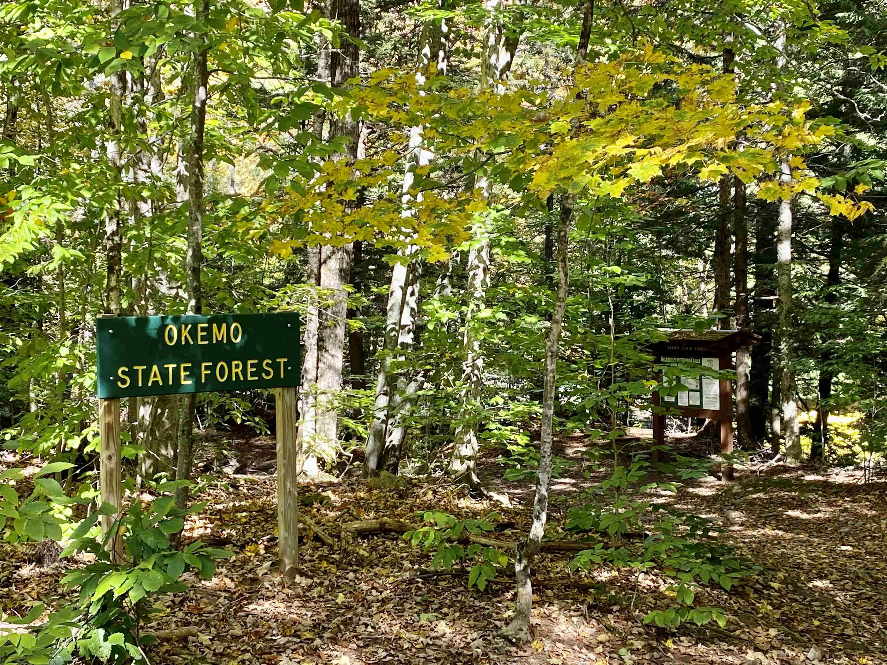 Lot 5 Rod And Gun Club Road Ludlow, VT 05149 - Photo 11 of 11