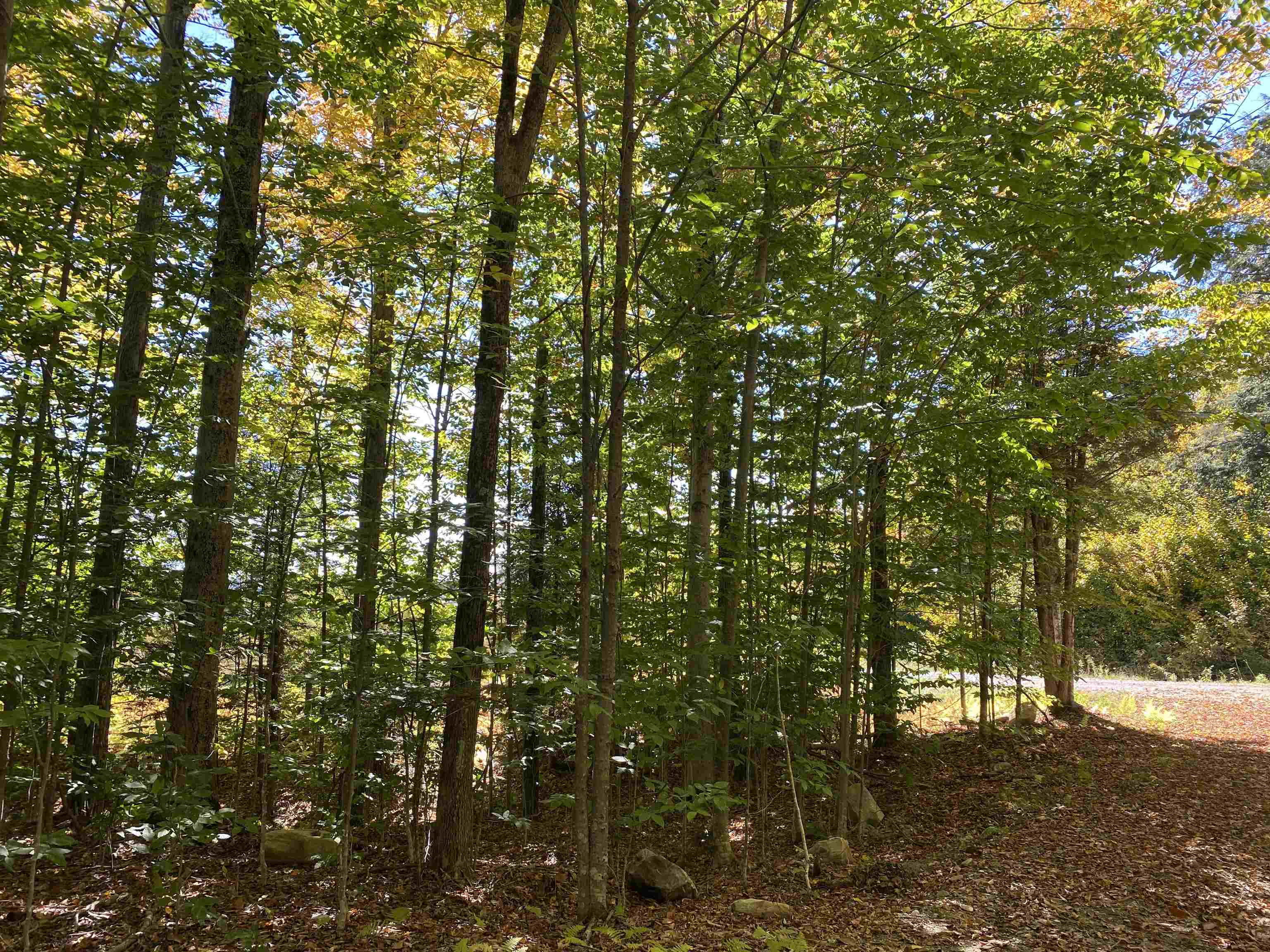 Lot 5 Rod And Gun Club Road Ludlow, VT 05149 - Photo 3 of 11