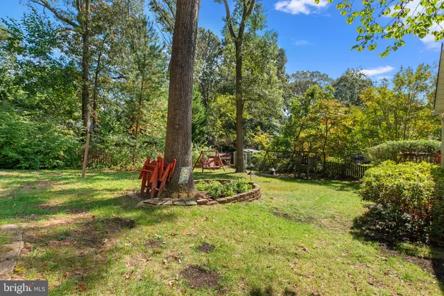 a view of a park with large trees