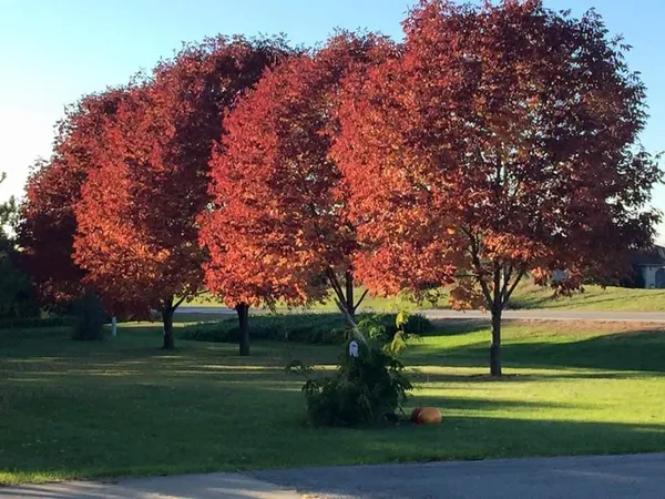 $358,000 | 1825 West Lake Street, Chilton, WI 53014