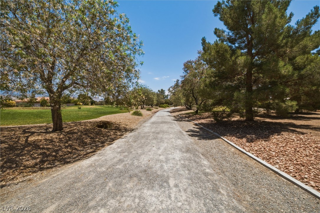 6720 Stubblefield Drive Pahrump, NV 89061 - Photo 46 of 51 A winding pathway invites tranquil strolls amidst vibrant greenery under an azure sky.