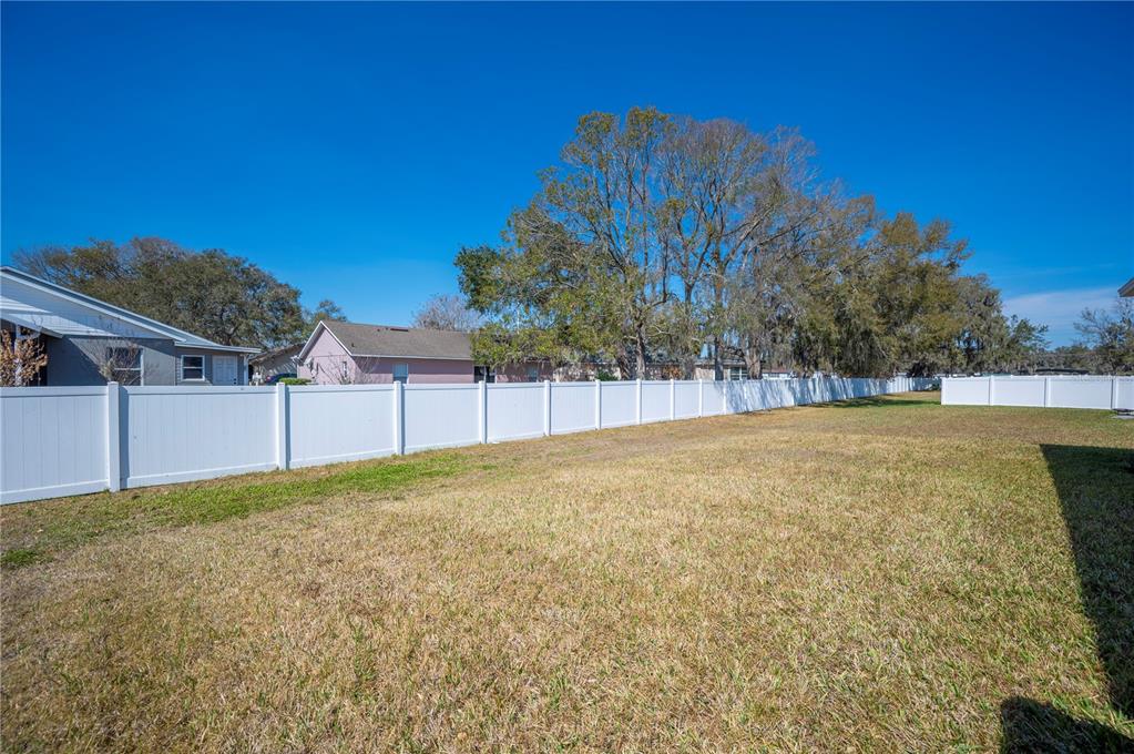4303 Moon Shadow Loop Mulberry, FL 33860 - Photo 26 of 30 a view of backyard and trees